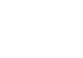 DHL-2.5