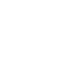 HCL-2.5